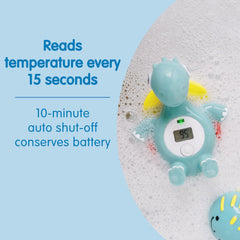 Suction cup storage keeps Temposaurus accessible and air drying.