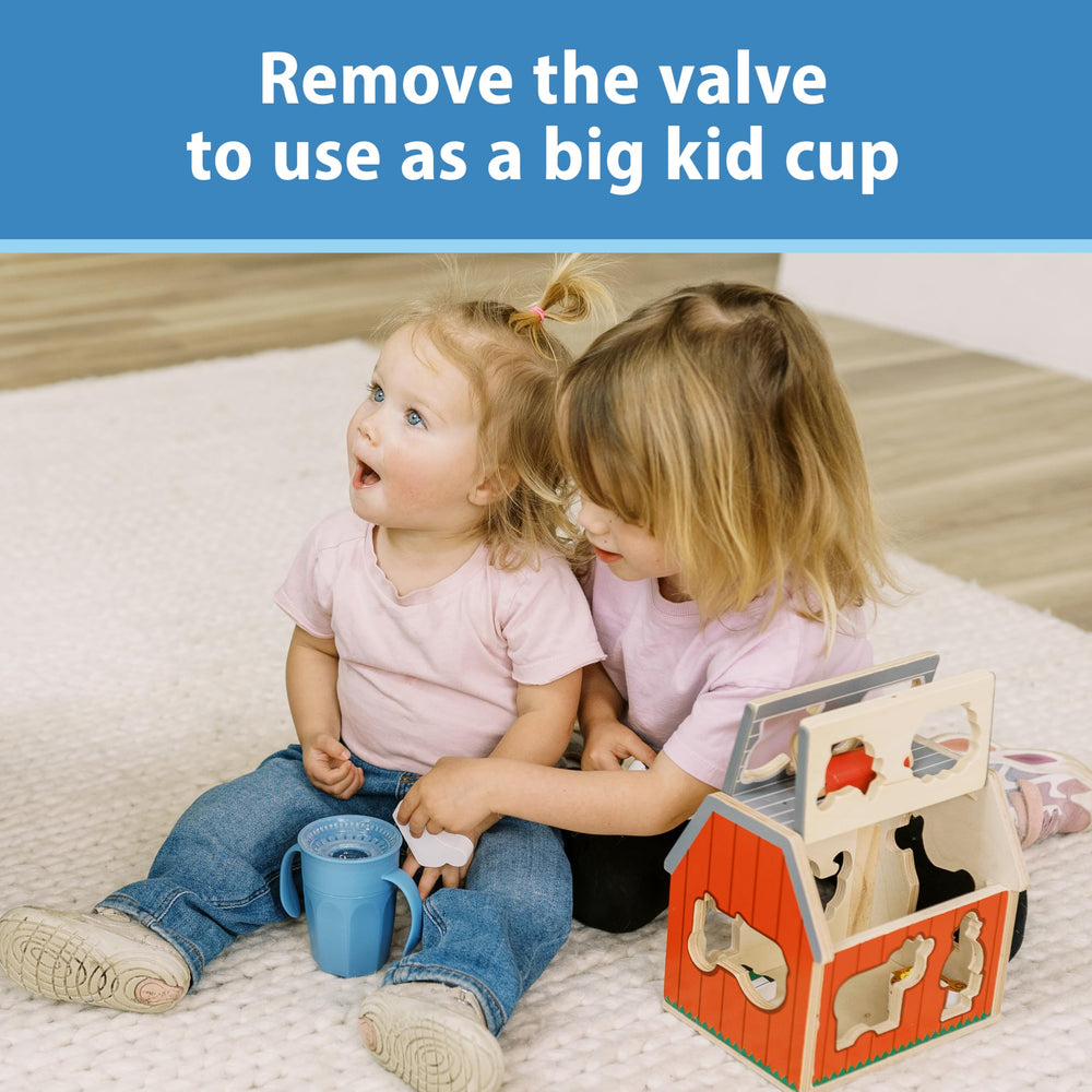 Dr. Brown's Milestones Cheers 360 cup valve see-inside feature