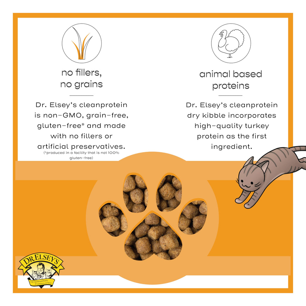 Dr. Elsey's cleanprotein turkey kibble served as protein-forward meal option