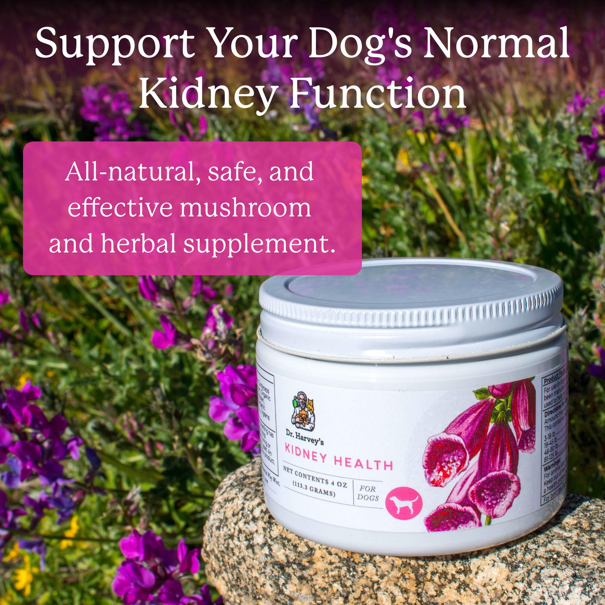 Dr. Harvey's Kidney Health label close-up highlighting natural ingredients.