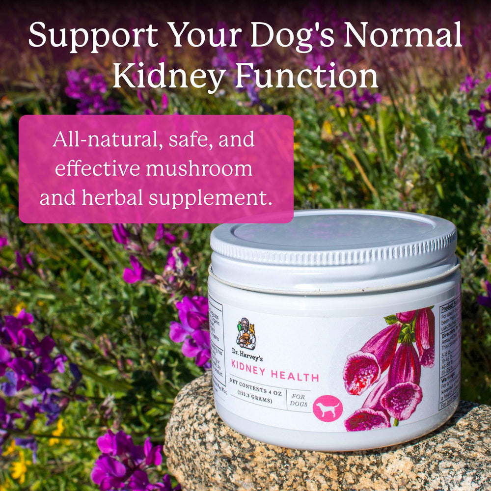Dr. Harvey's Kidney Health label close-up highlighting natural ingredients.