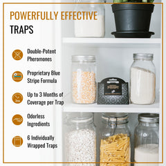 Dr. Killigan's Blue Stripe Formula closeup highlights potent pheromones for attracting male pantry moths