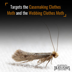 Dr. Killigan's moth traps easy setup step 1 in closet