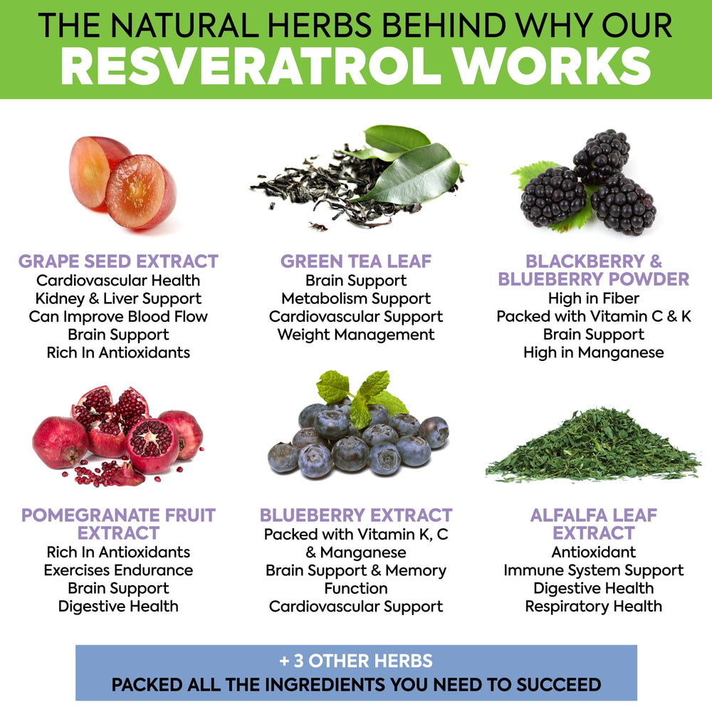 DR. MARTIN'S NUTRITION fruit-herbs-mix showcases colorful ingredients for natural wellness.