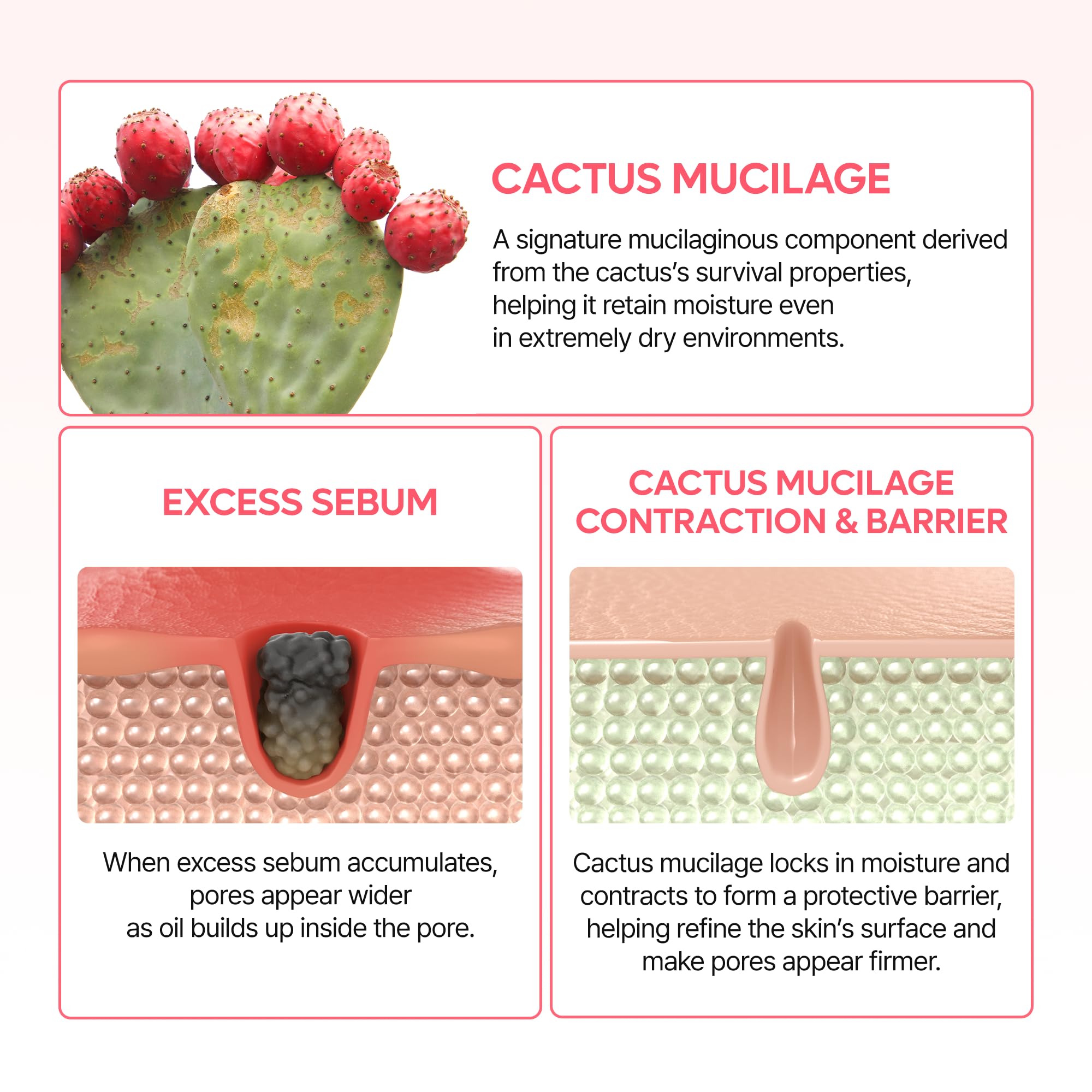 Cream cap detail hints at dual capsule design for targeted application