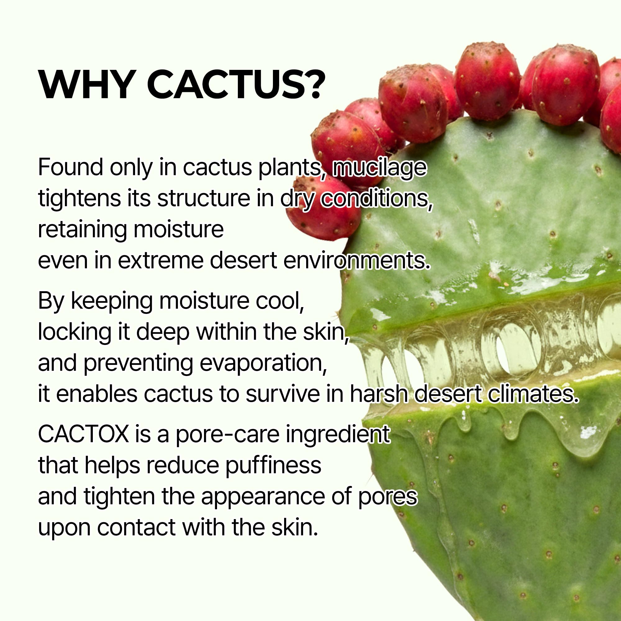 Close-up of cactus-inspired gel texture in the pad