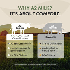 Creamy smoothie with Solspring A2 dry whole milk powder