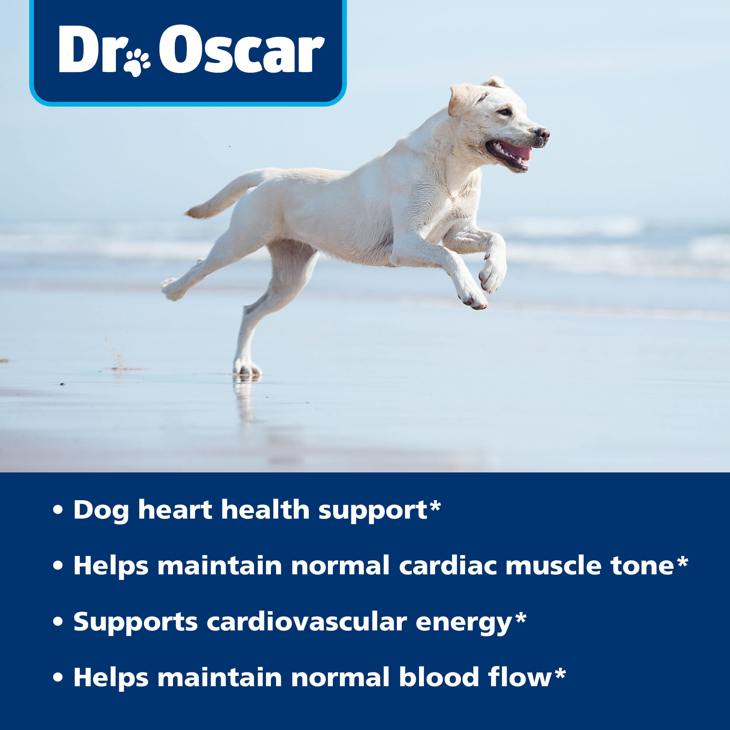 Dog enjoying a treat while Dr. Oscar taurine promotes normal blood flow