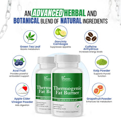 DR VITAMIN SOLUTIONS apple cider vinegar ingredient for appetite management