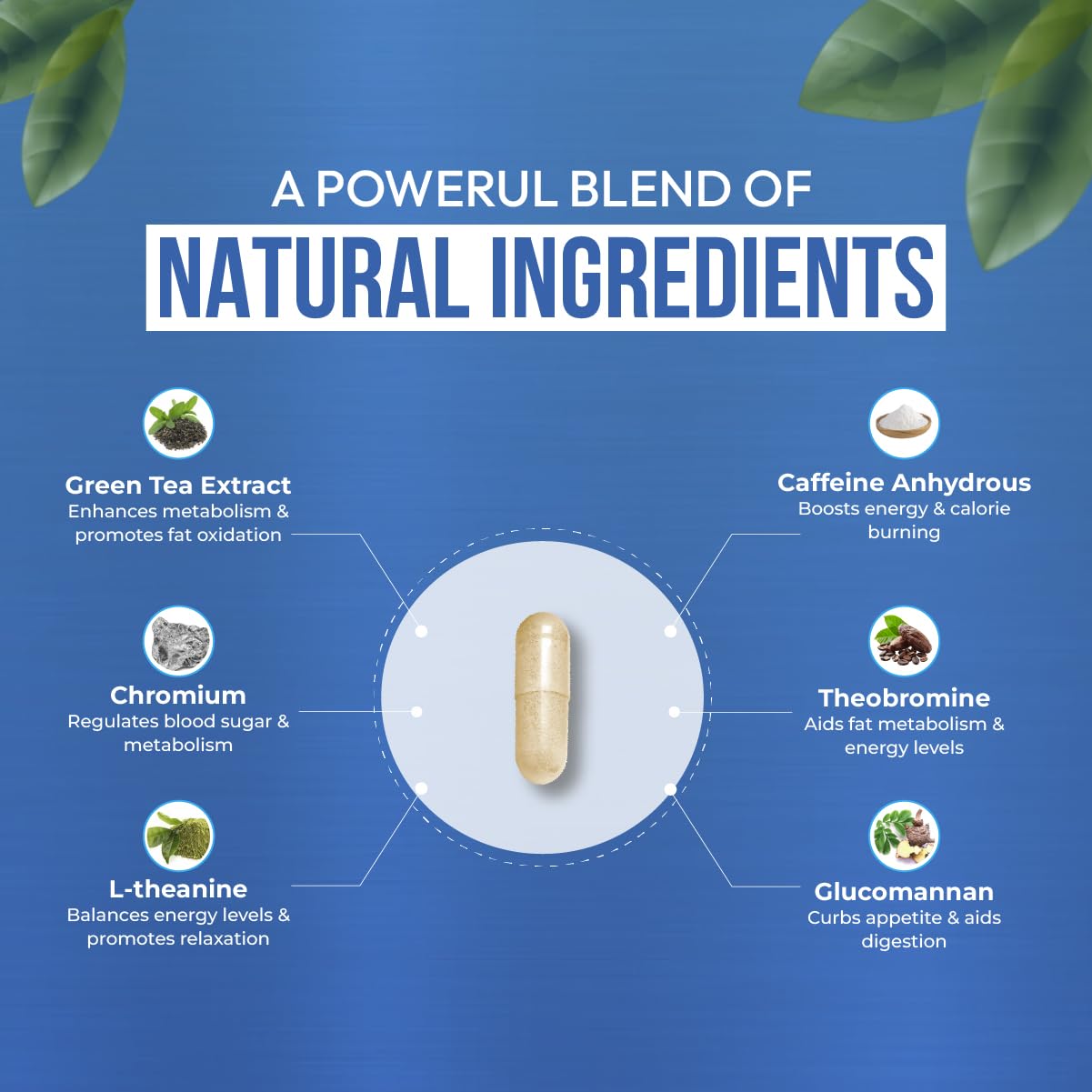 Dr Vitz ingredients close-up highlights hoodia and guarana.