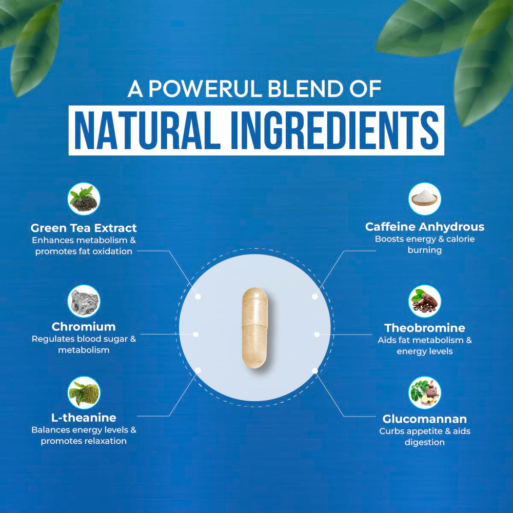 Dr Vitz ingredients close-up highlights hoodia and guarana.
