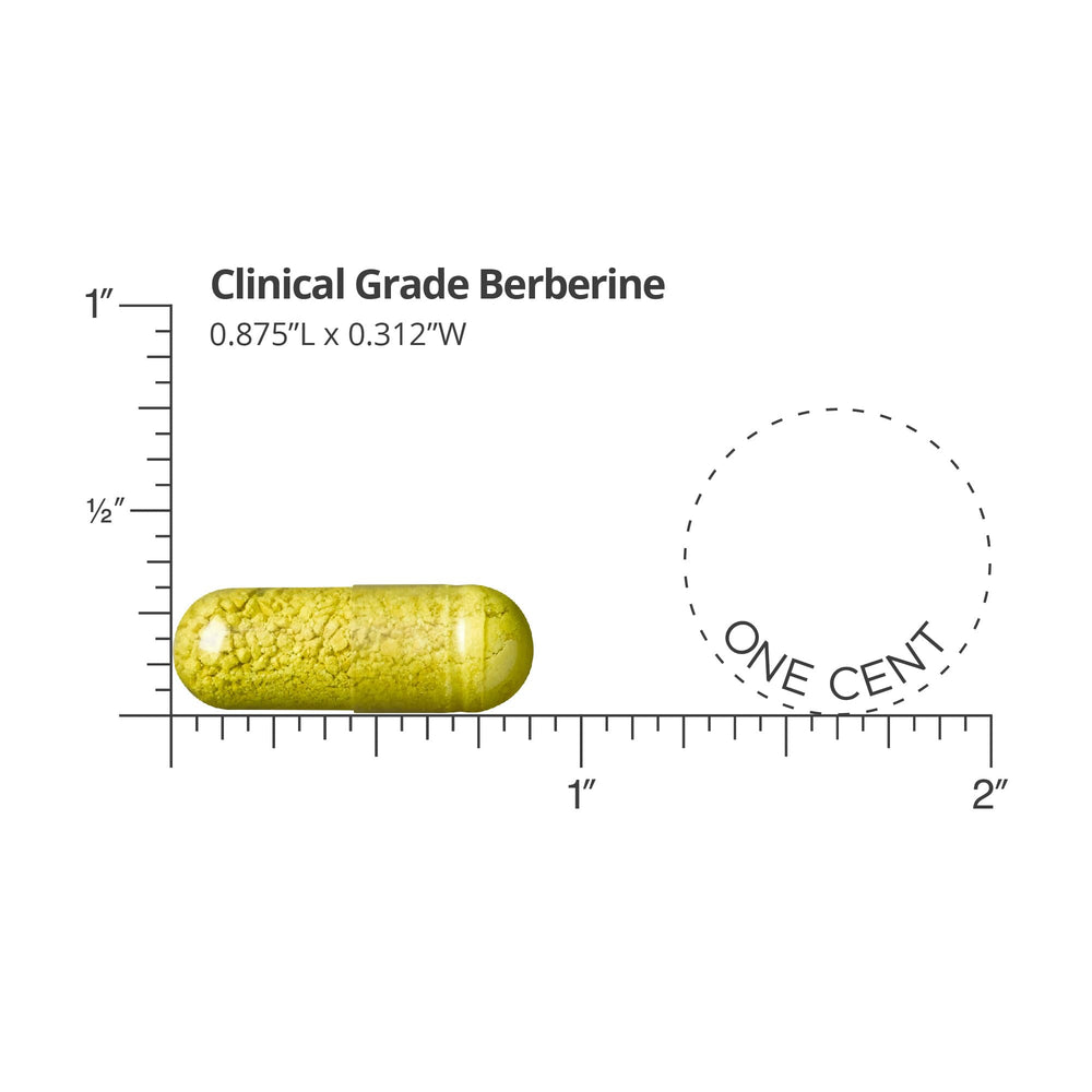 DR.WHITAKER Berberine capsules closeup emphasizes capsule integrity for reliable daily intake.