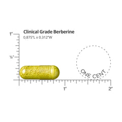 DR.WHITAKER Berberine capsules closeup emphasizes capsule integrity for reliable daily intake.