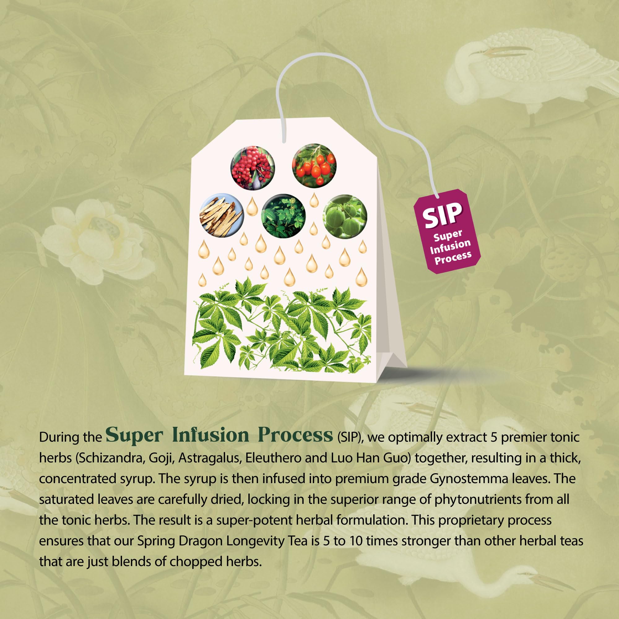 Brewed cup of Dragon Herbs SDLT with inviting aroma and balanced flavor.