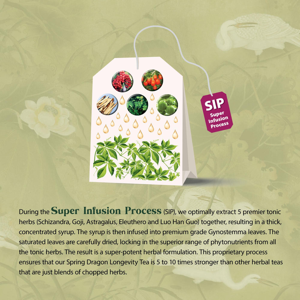 Brewed cup of Dragon Herbs SDLT with inviting aroma and balanced flavor.