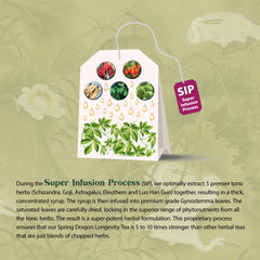 Brewed cup of Dragon Herbs SDLT with inviting aroma and balanced flavor.