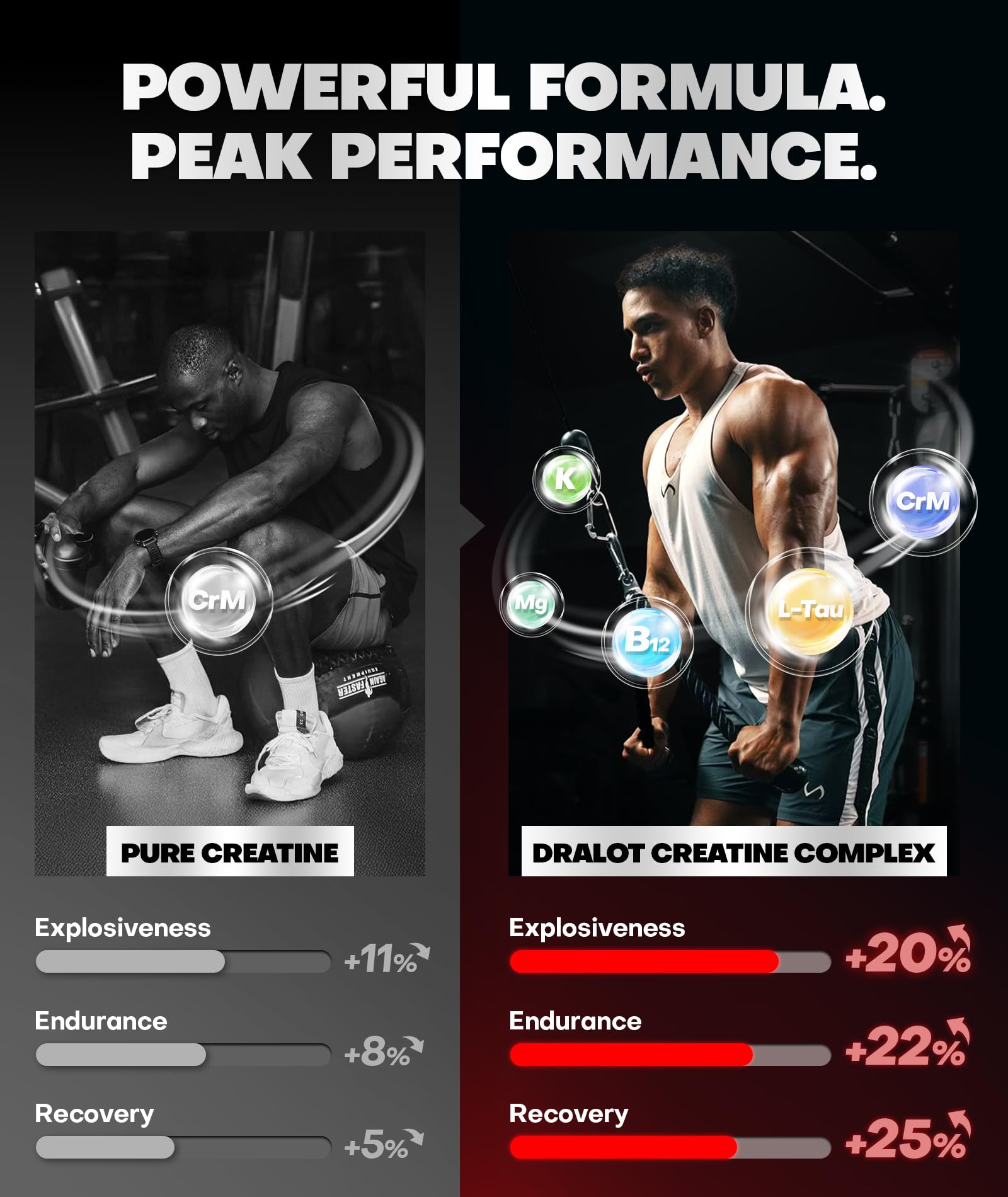 Dralot Creatine Monohydrate Gummies ingredients panel showing 5-in-1 complex