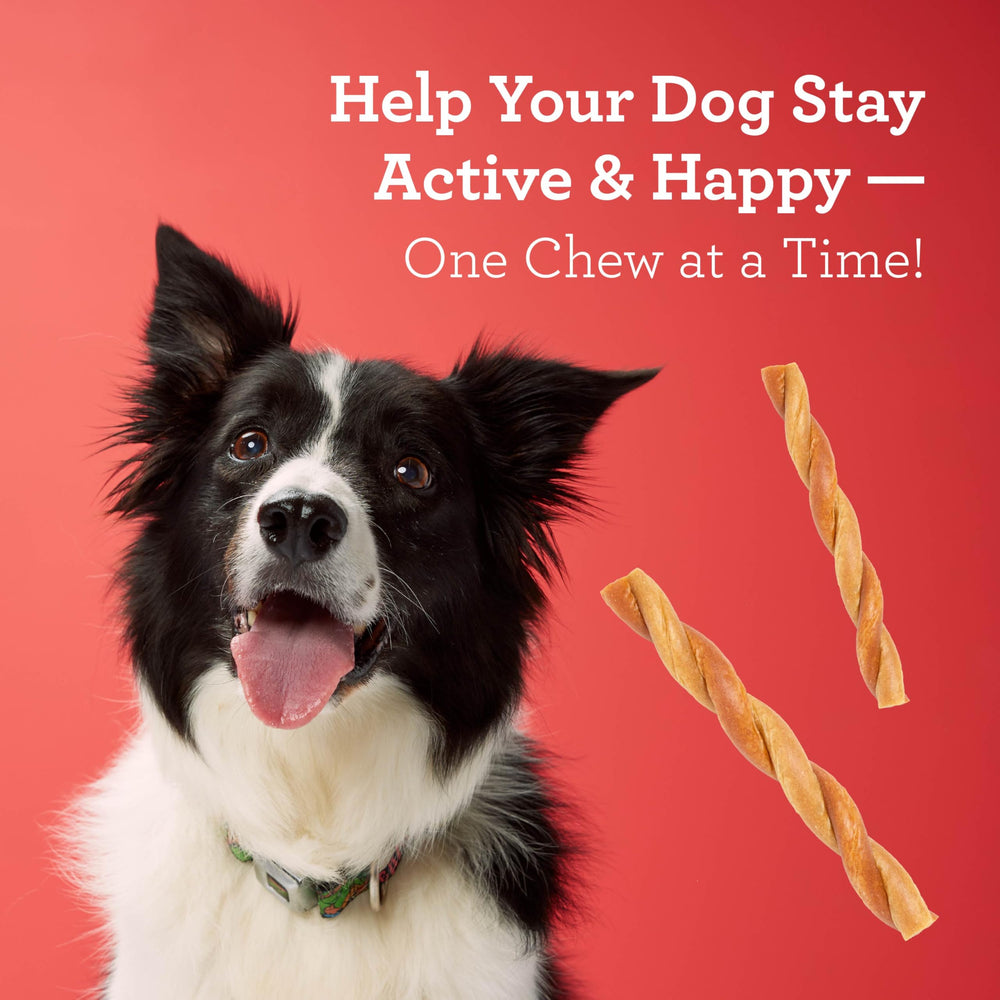 DreamBone CollaYUMS Twists conviennent aux chiens actifs et seniors