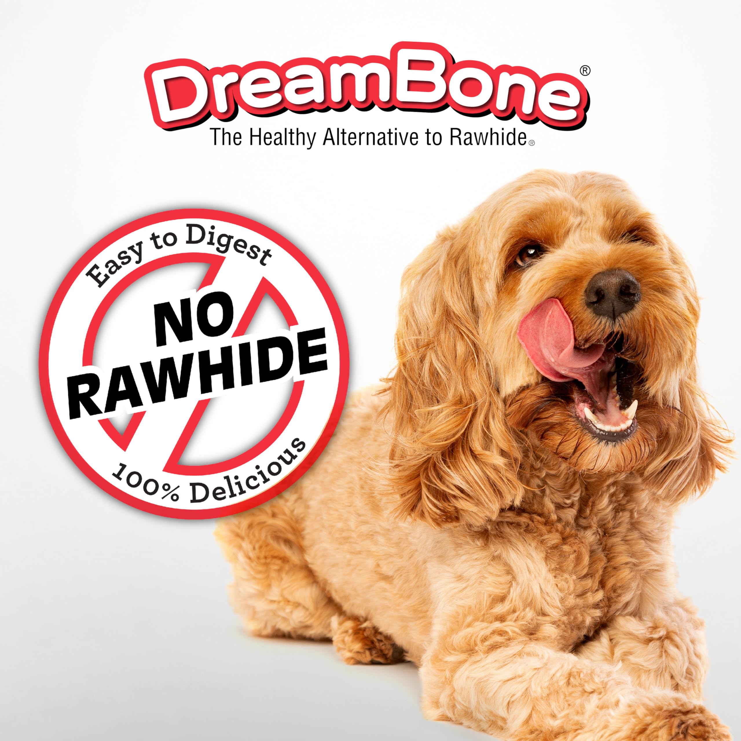 DreamBone ingredients closeup — no artificial preservatives or artificial colors.