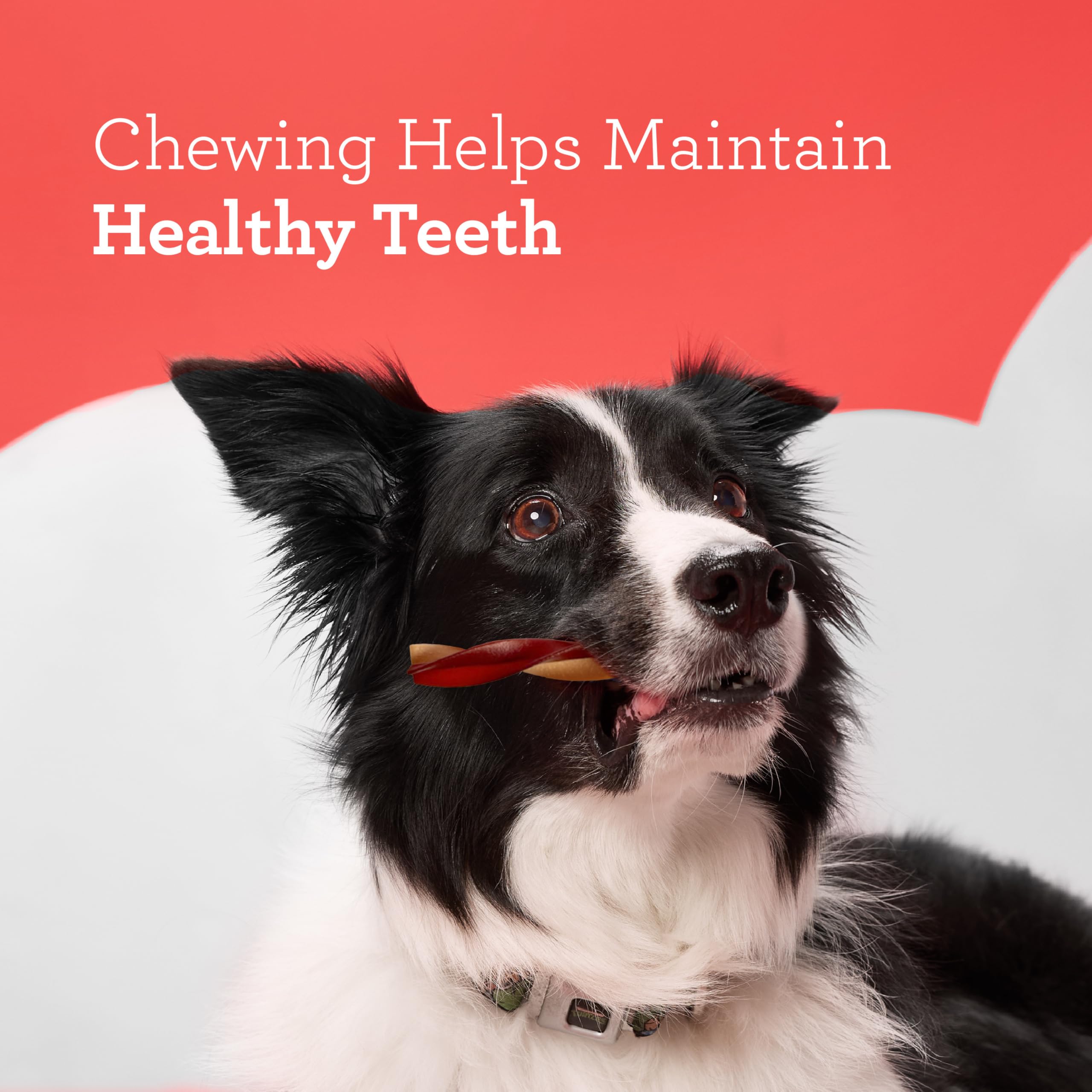 DreamBone Swirlz vitamins and minerals enrichment in chews