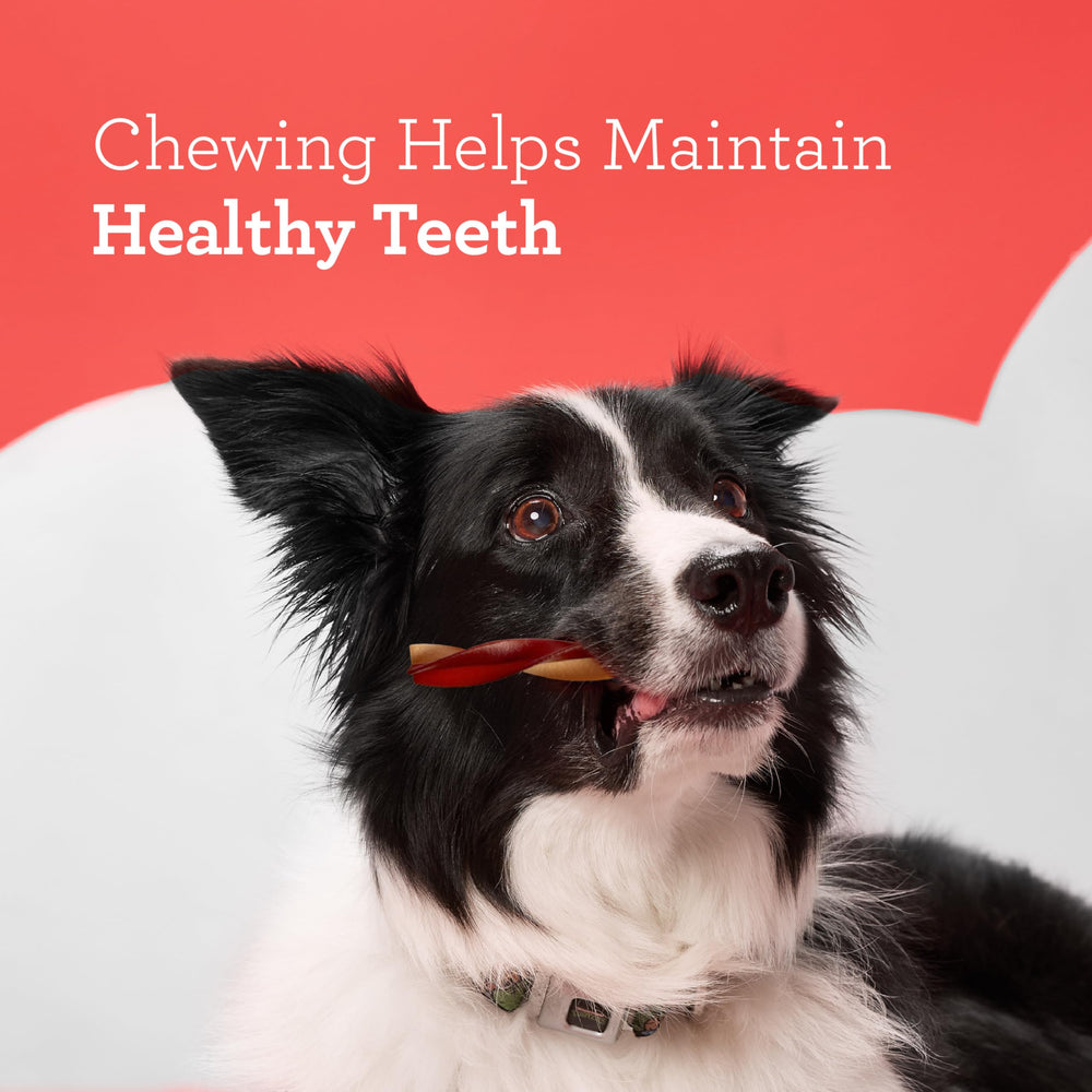 DreamBone Swirlz vitamins and minerals enrichment in chews