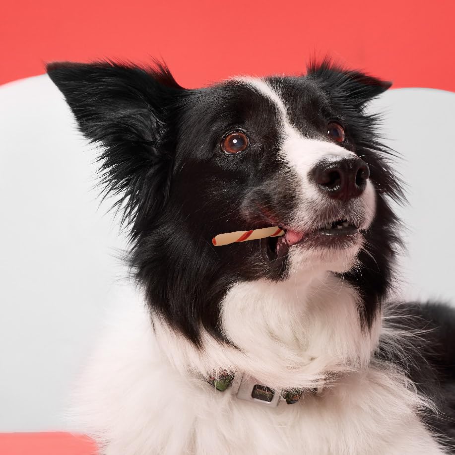 DreamBone Twist Sticks dog-diet-friendly-snack—fits into a balanced feeding plan.