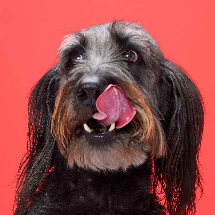 DreamBone Twist Sticks teeth-gums-benefit—chewing supports dental health through action.