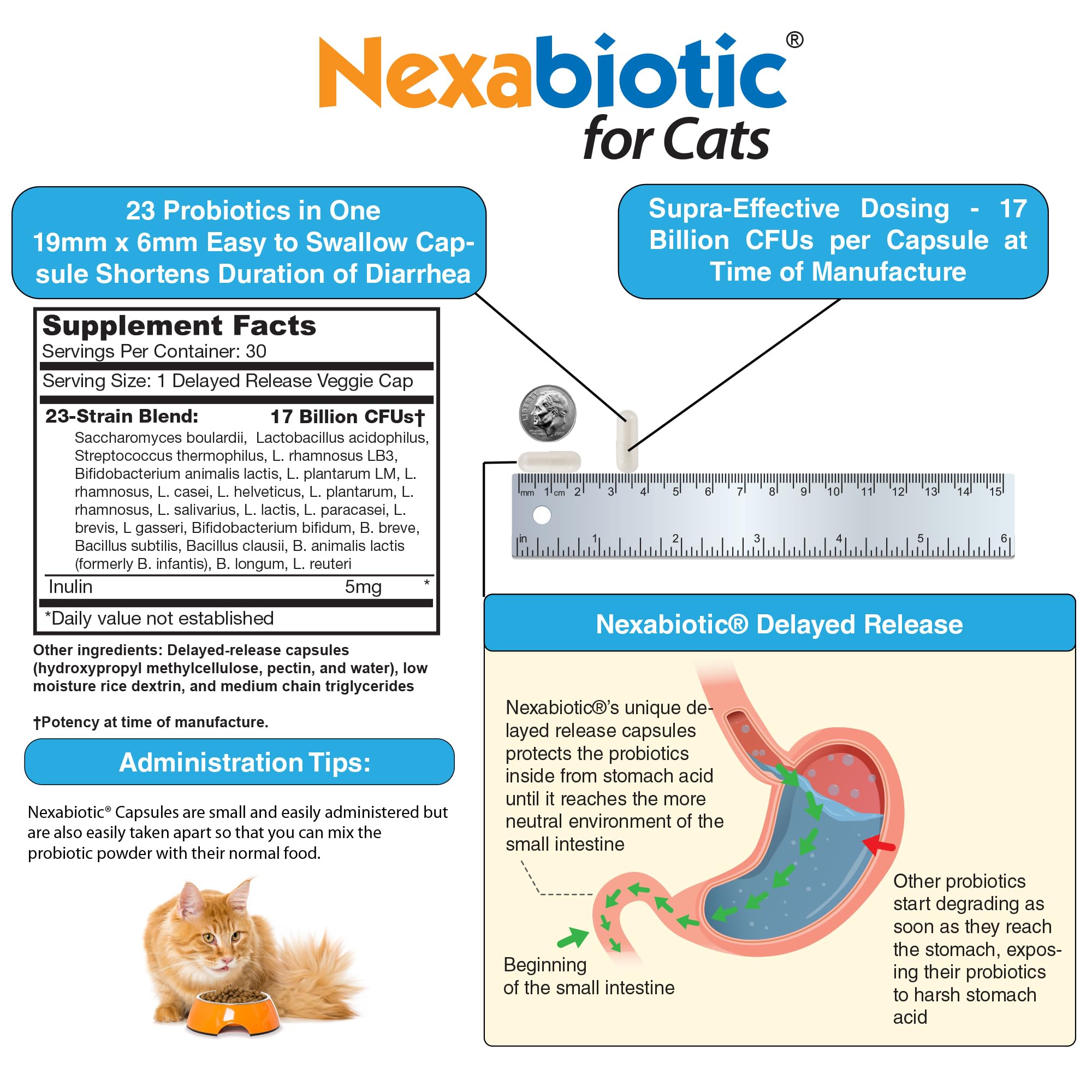 Label shows ingredients and probiotic strains for transparency.