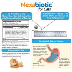 Label shows ingredients and probiotic strains for transparency.