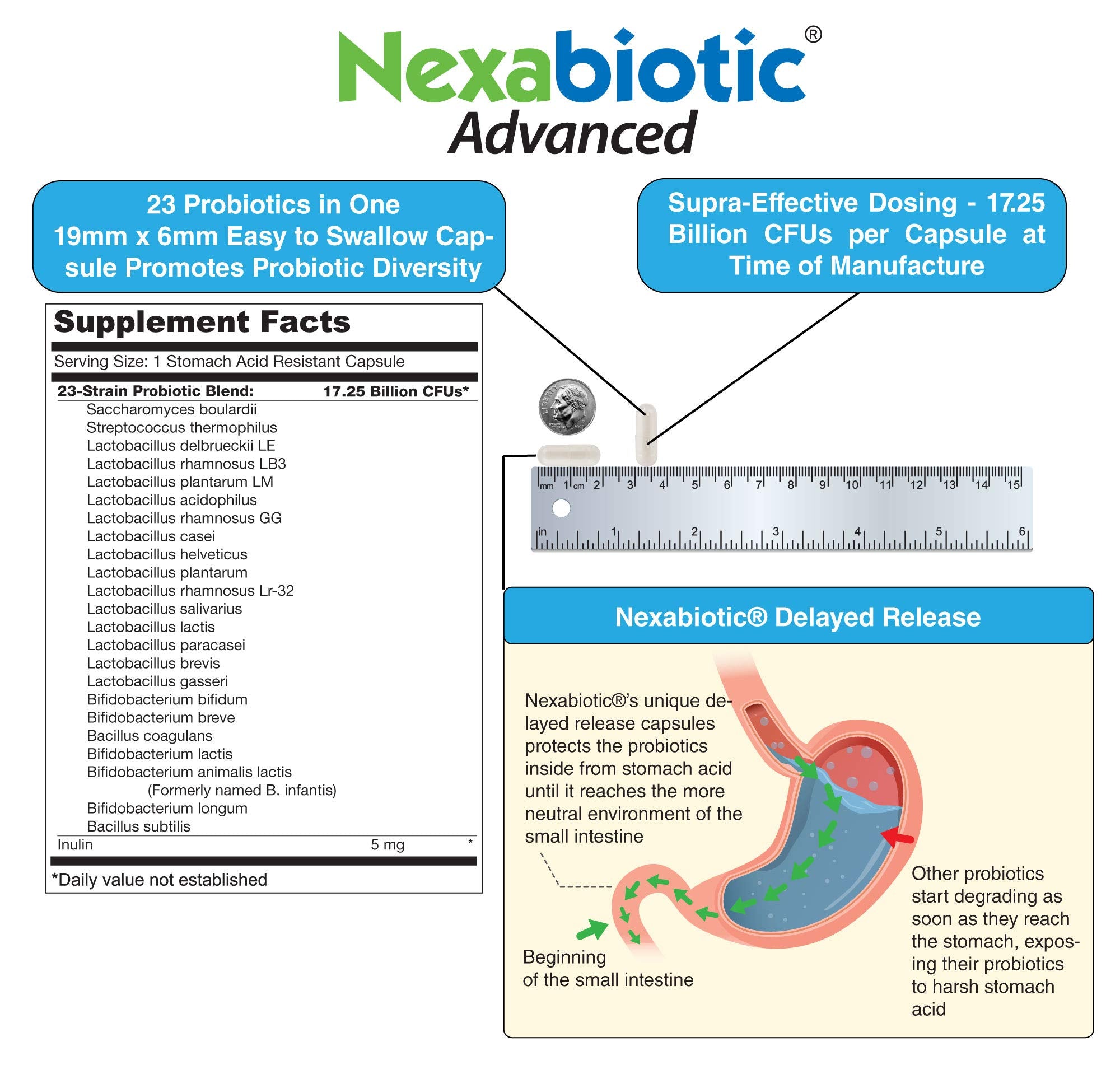 Close view of delayed-release Nexabiotic capsules designed for gut delivery
