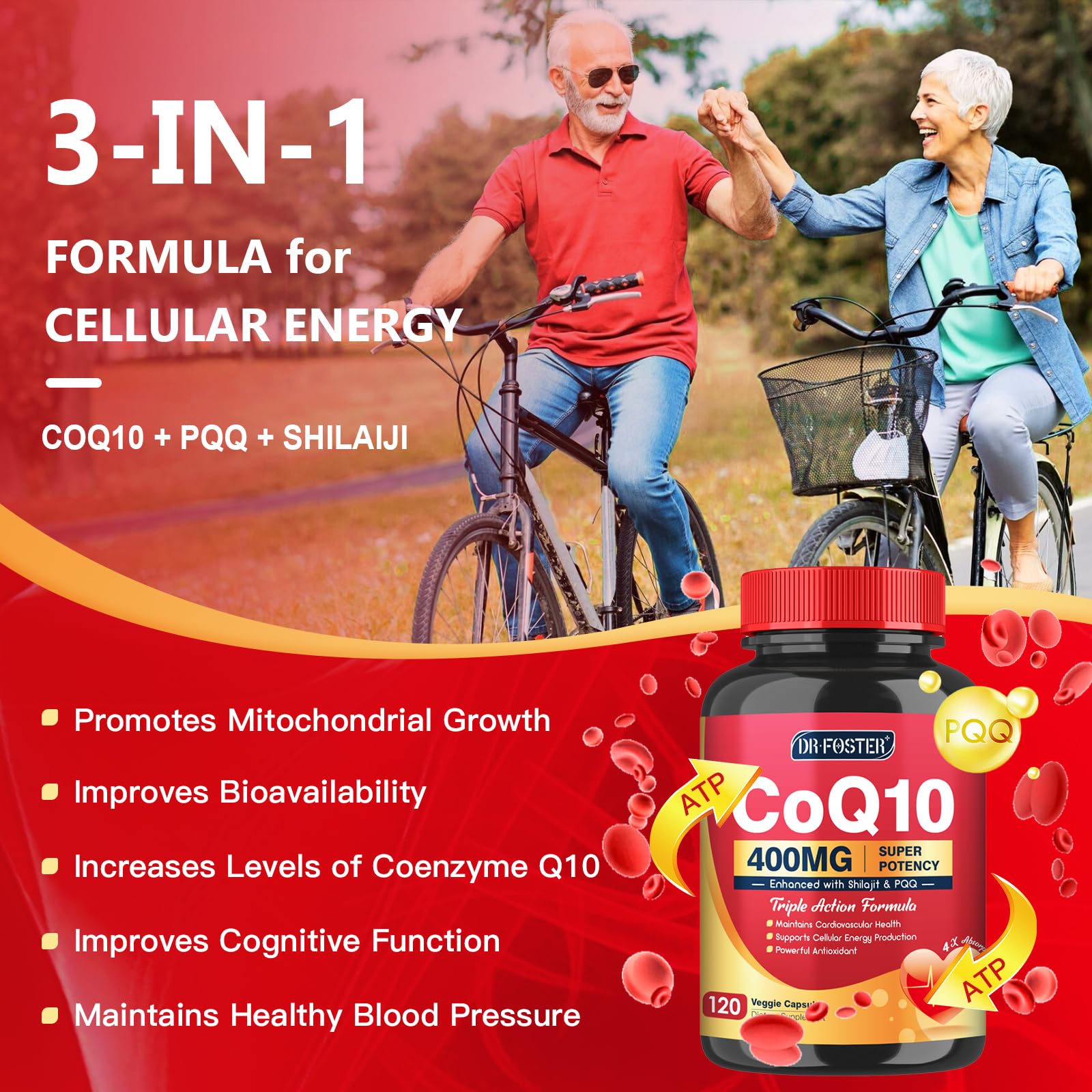 Bioperine-enhanced CoQ10 absorption matrix for improved bioavailability in DRFOSTER formula.