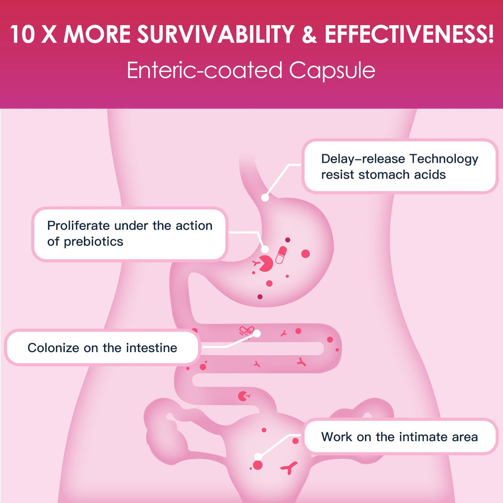 DRFOSTER Probiotics Women cranberry antioxidants for skin support.