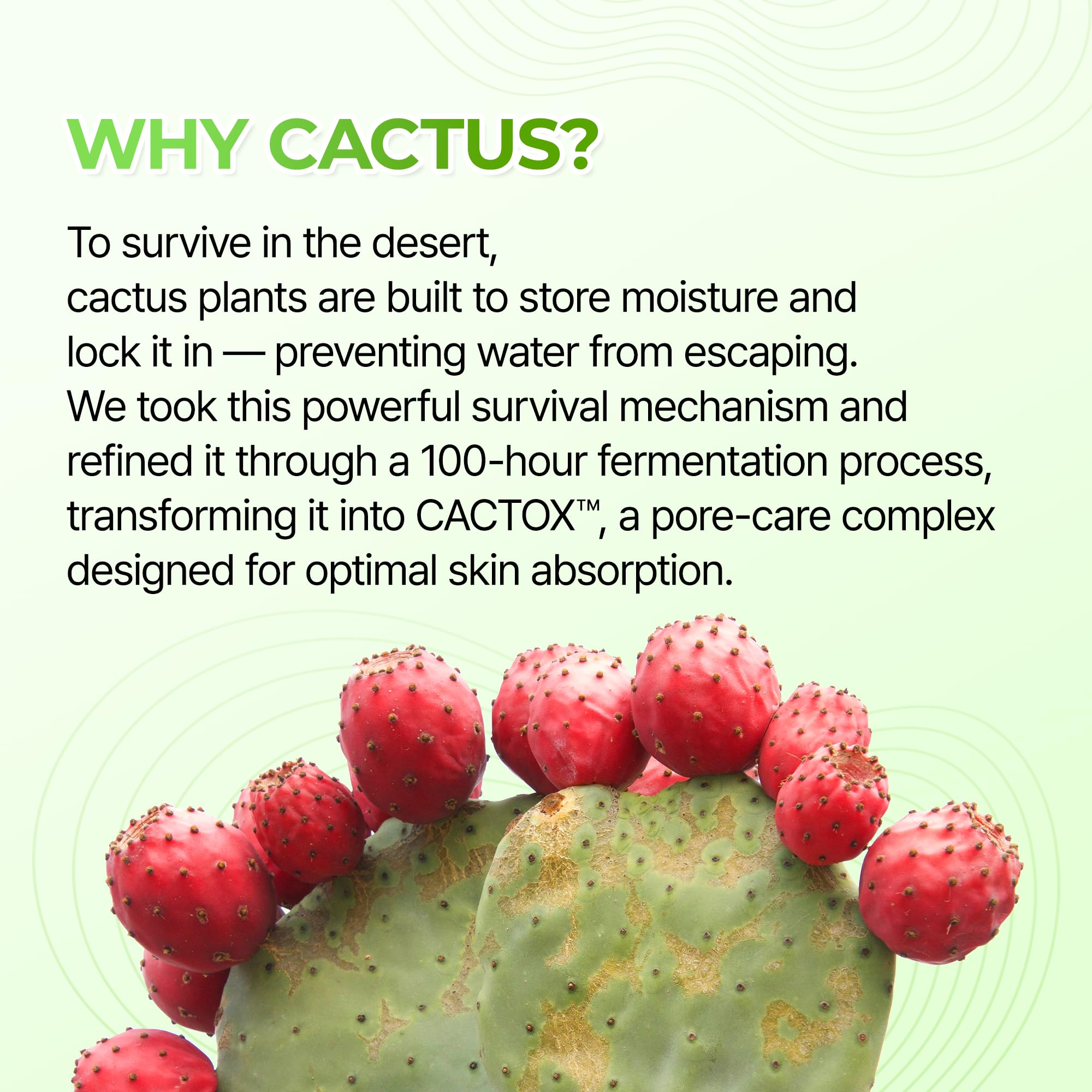 Dr.Melaxin CACTOX label highlights AHA and PHA for gentle exfoliation