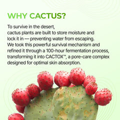 Dr.Melaxin CACTOX label highlights AHA and PHA for gentle exfoliation