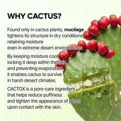 Dr.Melaxin Cactox hydrating cactus serum for dehydrated skin.