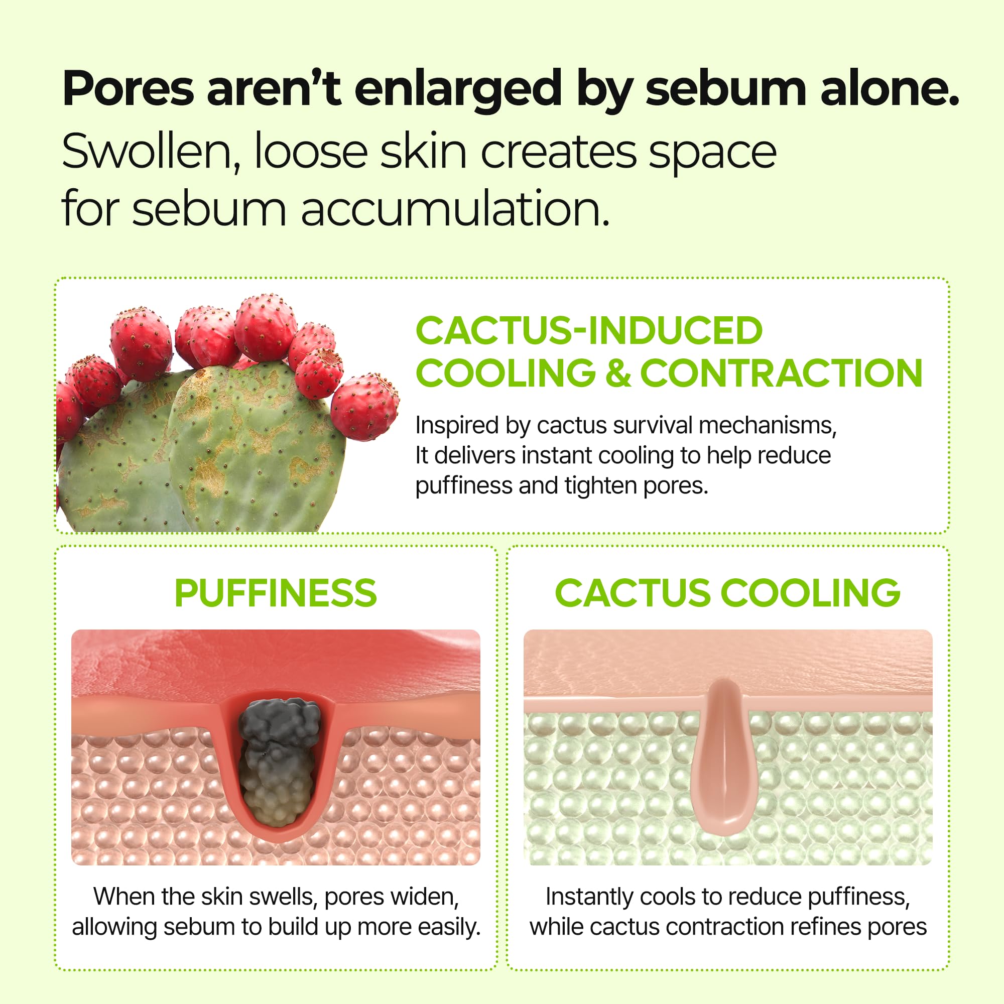 Dr.Melaxin Cactox pore-tightening mist for smoother-looking pores.