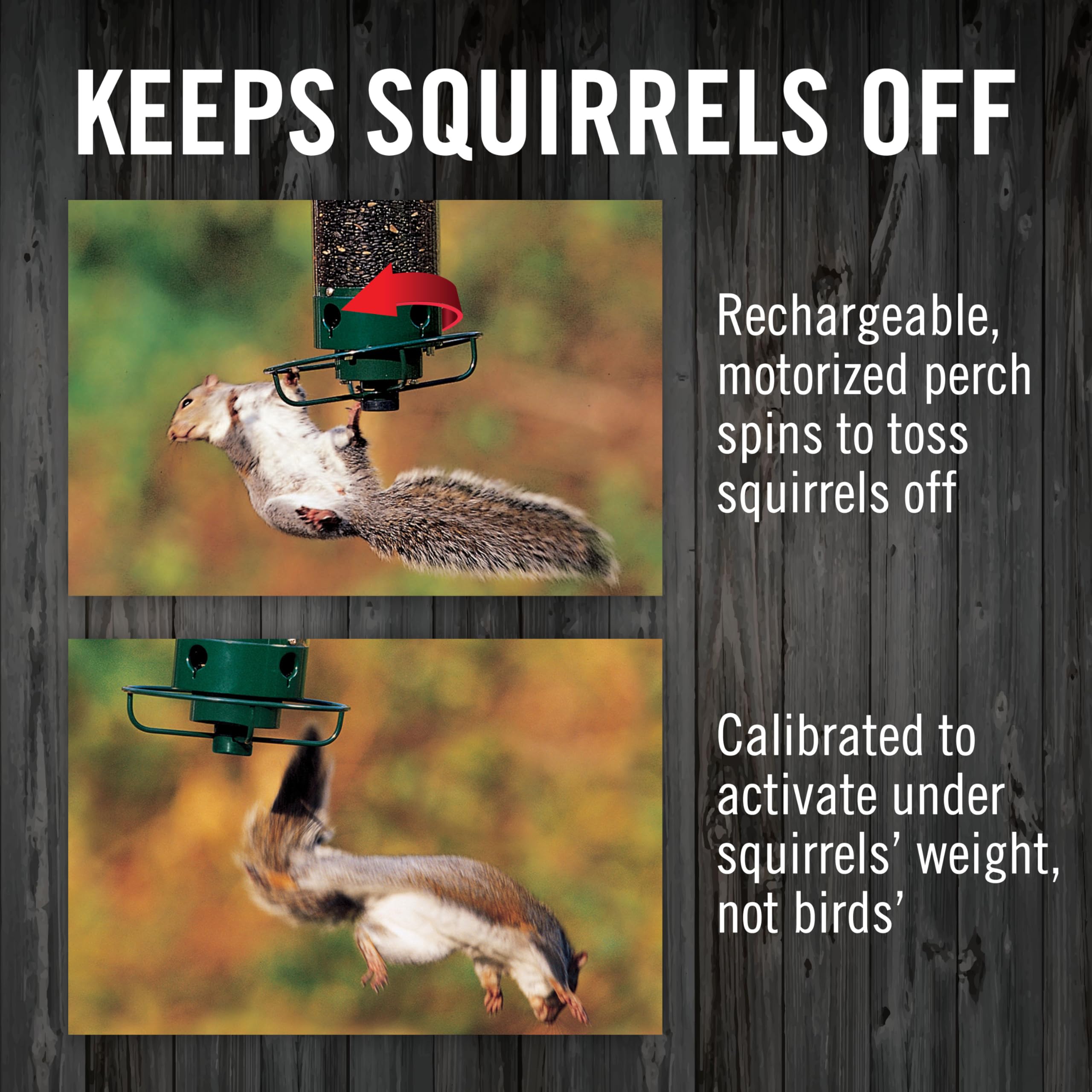 Droll Yankees Flipper metal cap protects seeds from lift-off.