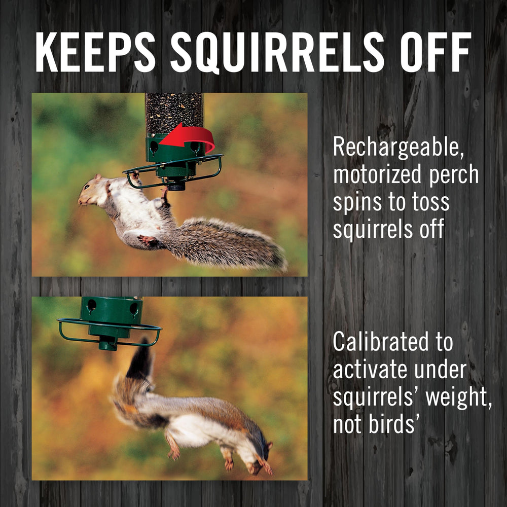 Droll Yankees Flipper metal cap protects seeds from lift-off.