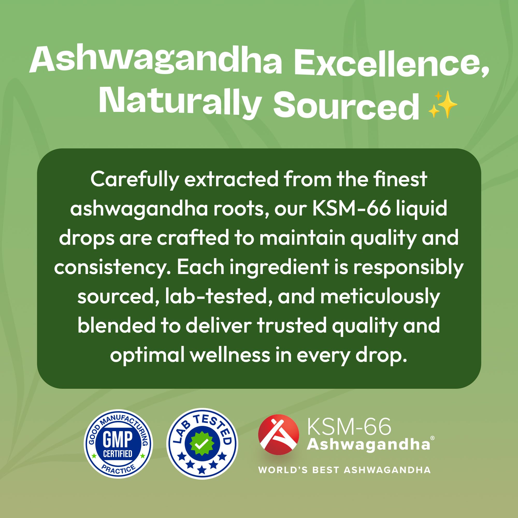 Drops Of Nature KSM-66 Ashwagandha liquid drops vegan formula packaging.