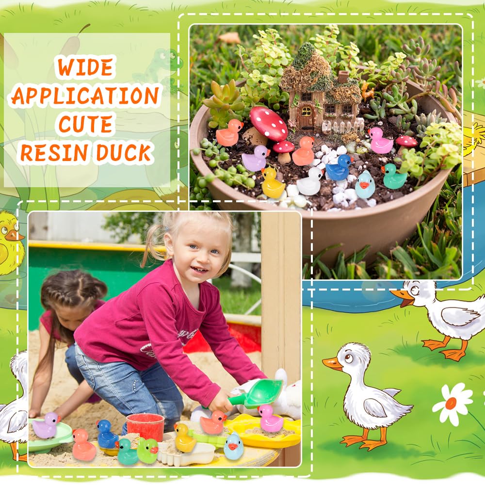 Ten-color duck set adds variety to decor projects
