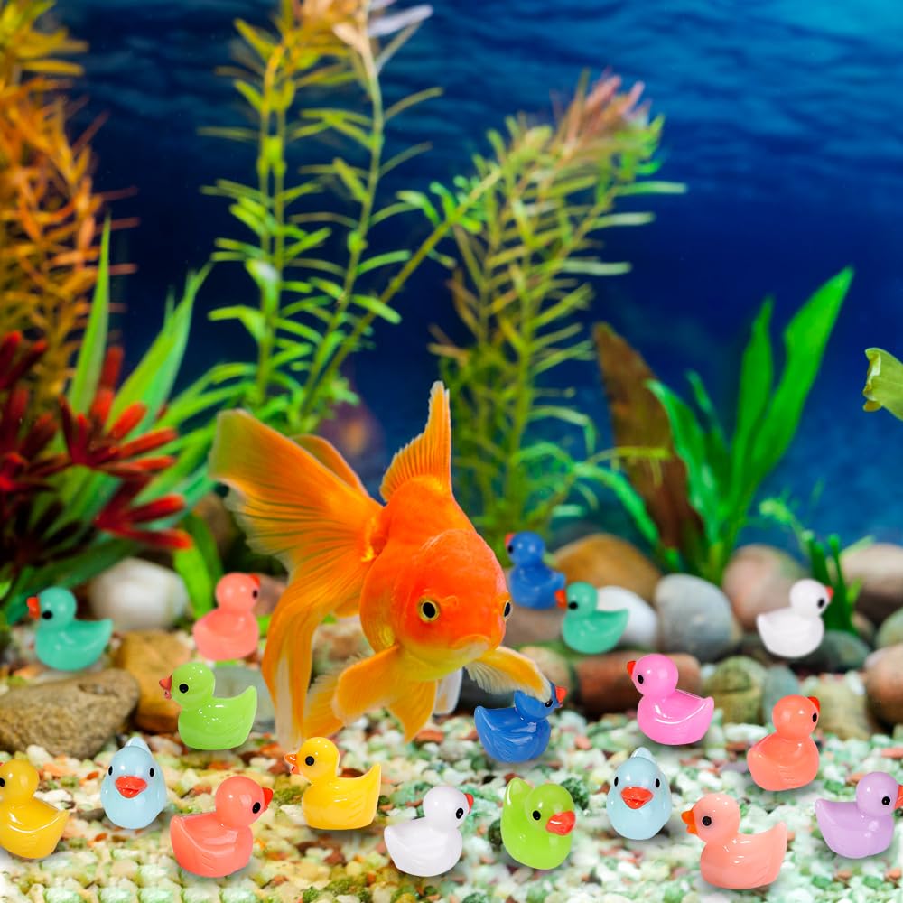 Tiny ducks ideal as party favors and festival decorations