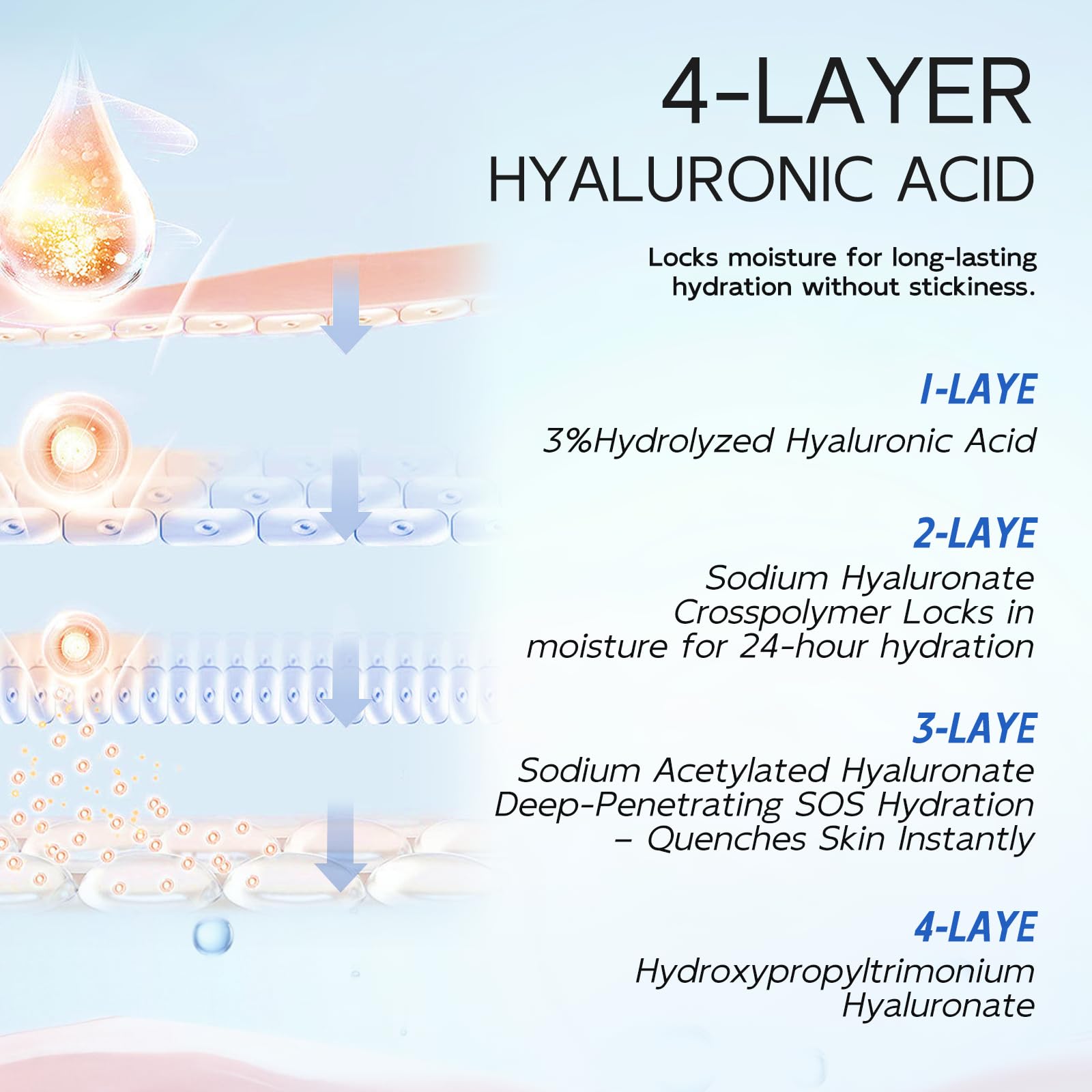Dumie graphic of 4HA complex illustrating layered hydration