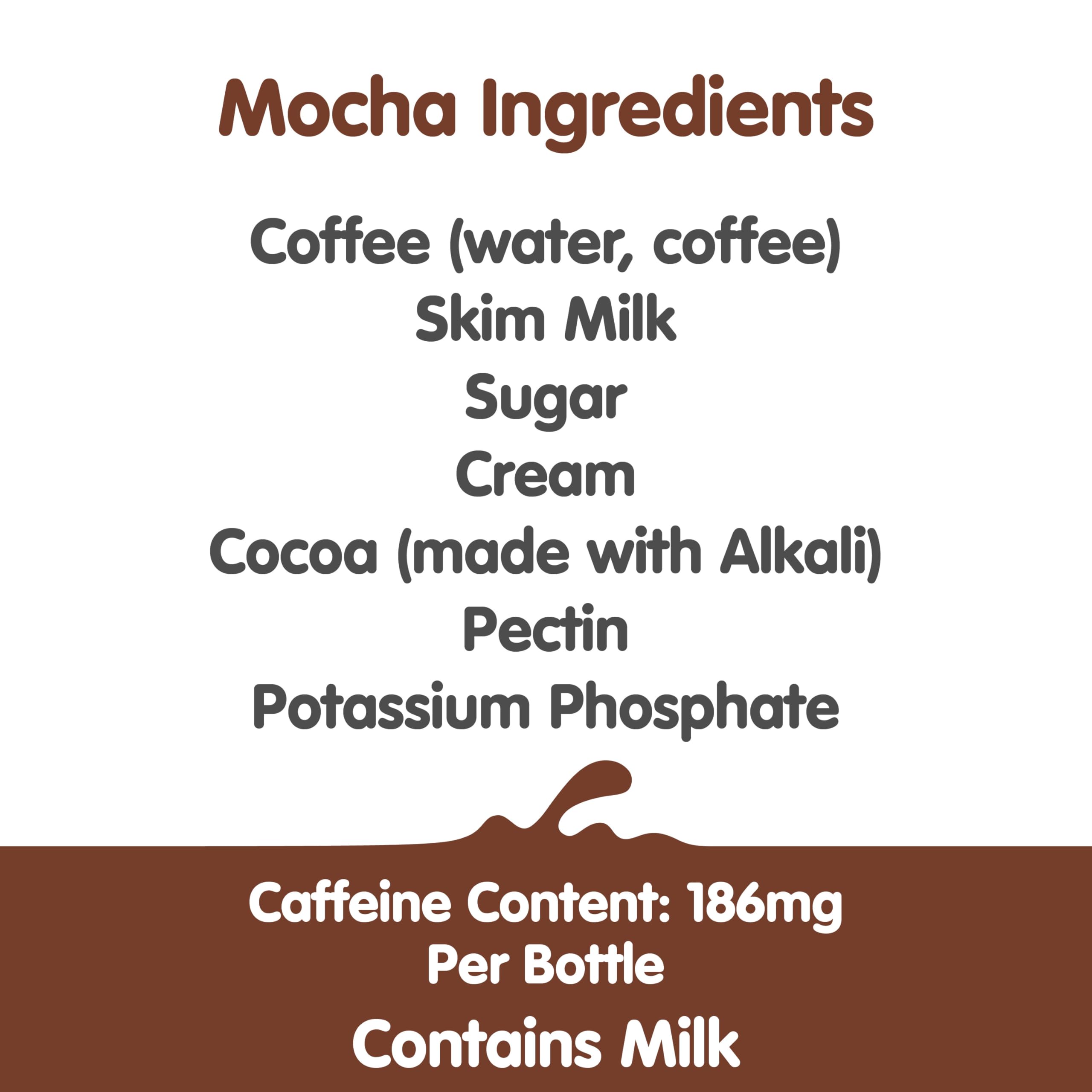 Dunkin Mocha Iced Coffee bottle side showcases portable energy for busy days