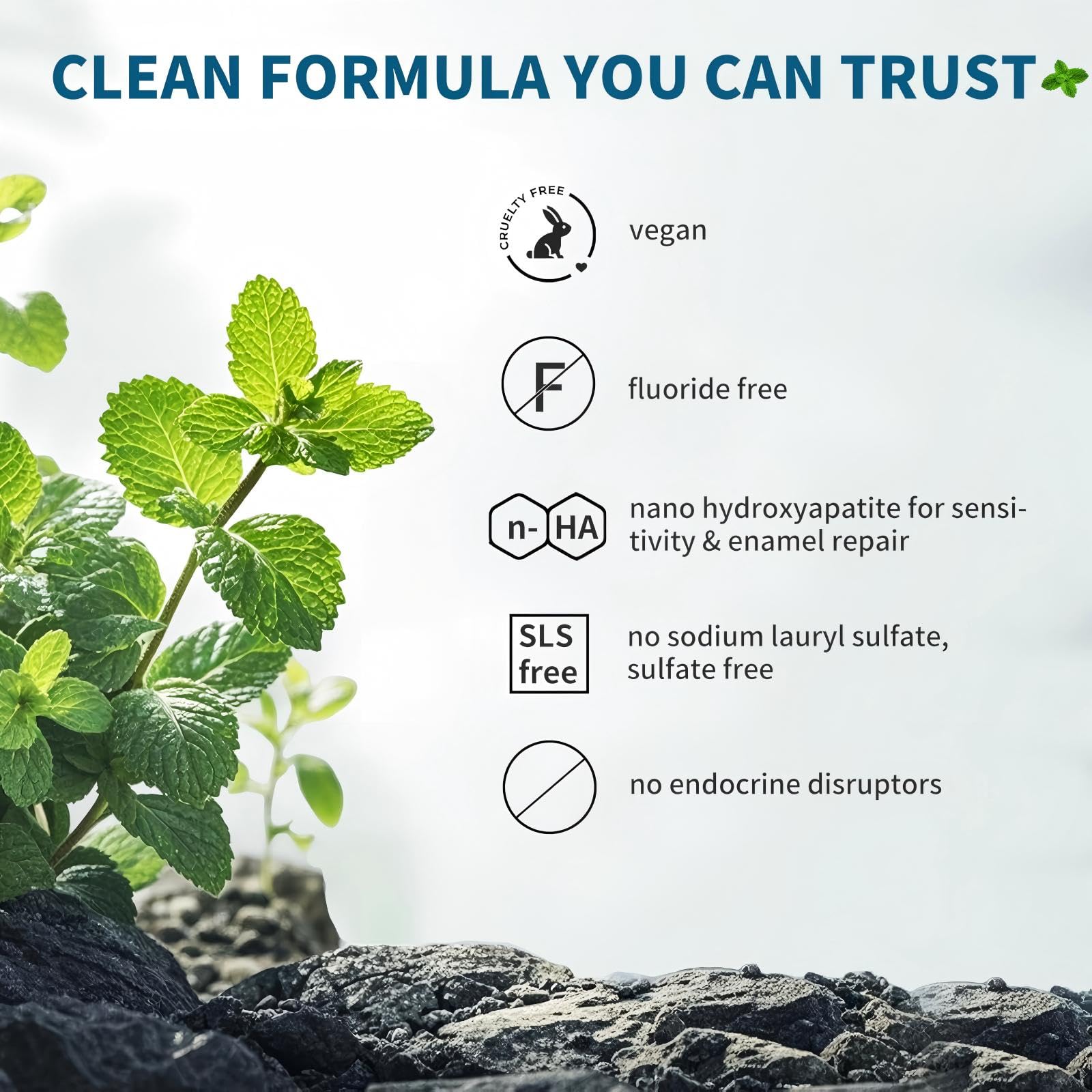 DUOYINTL mint flavor for a fresh mouthfeel after brushing