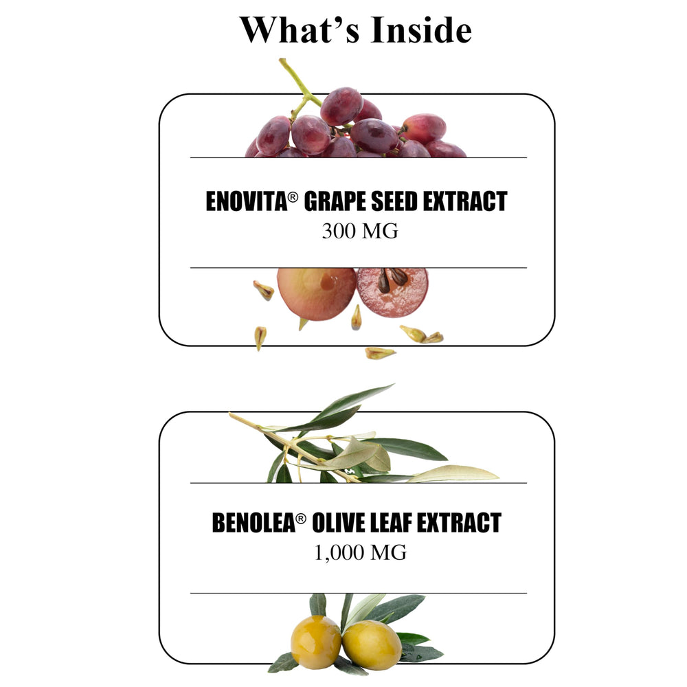 Durable Blood Pressure Enovita grape seed extract close-up highlights OPCs supporting nitric oxide activity
