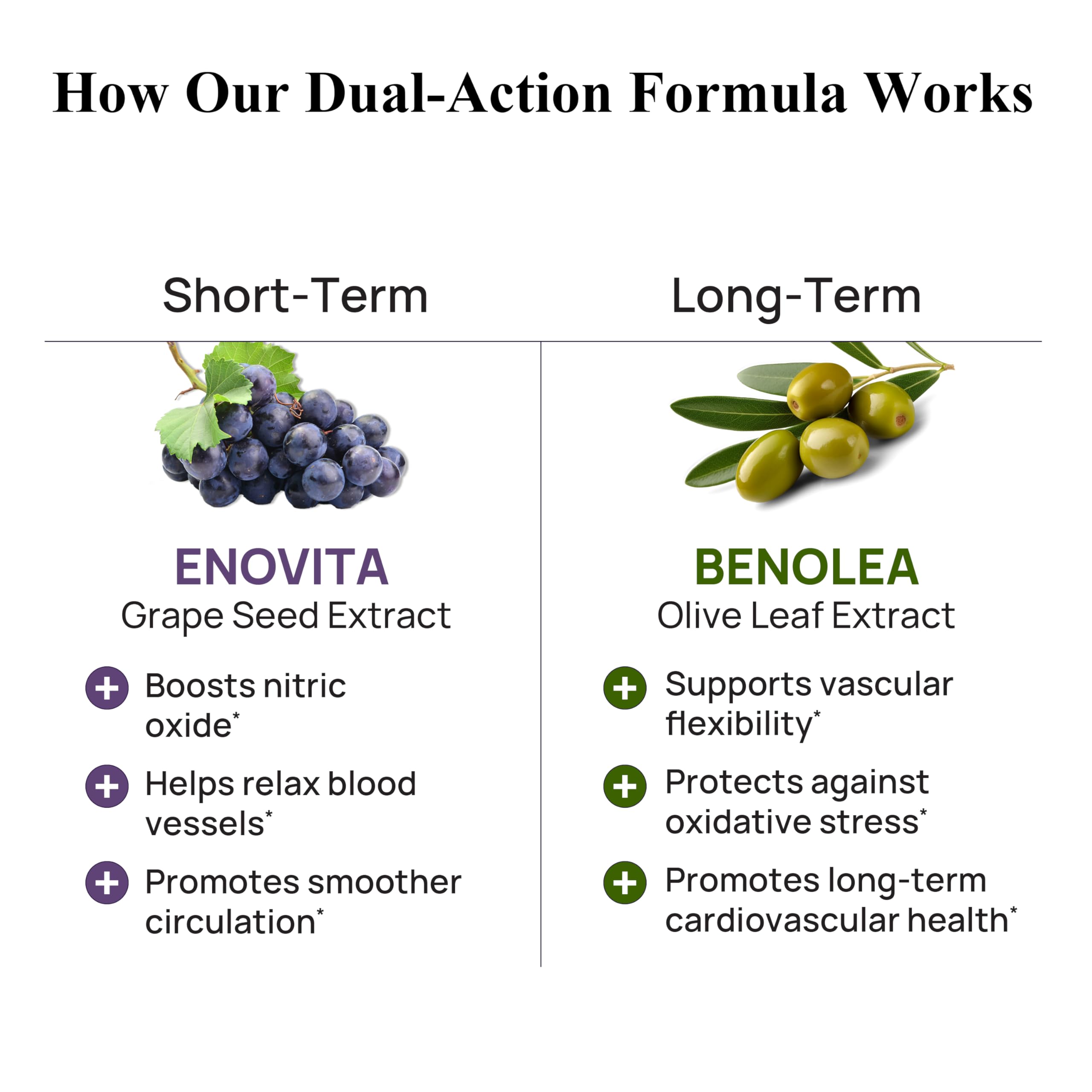 Durable Blood Pressure olive leaf extract close-up emphasizing oleuropein content for vascular support