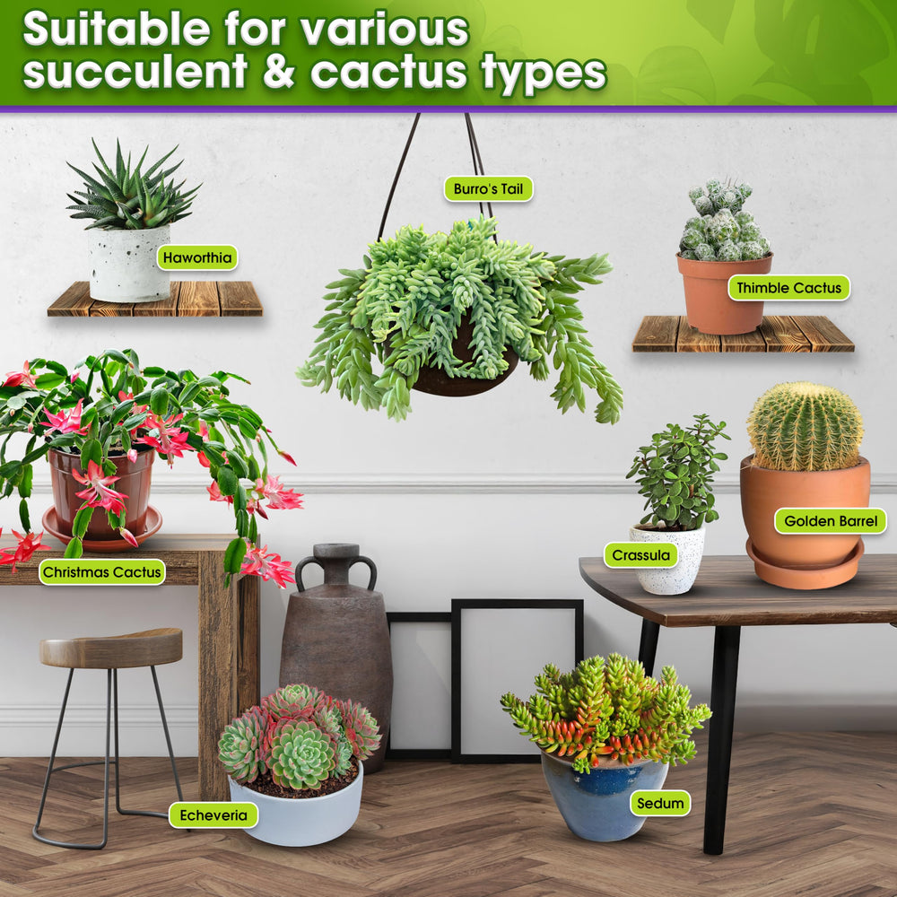 Duspro indoor-outdoor succulent soil suitable for desks, patios, or terrariums.