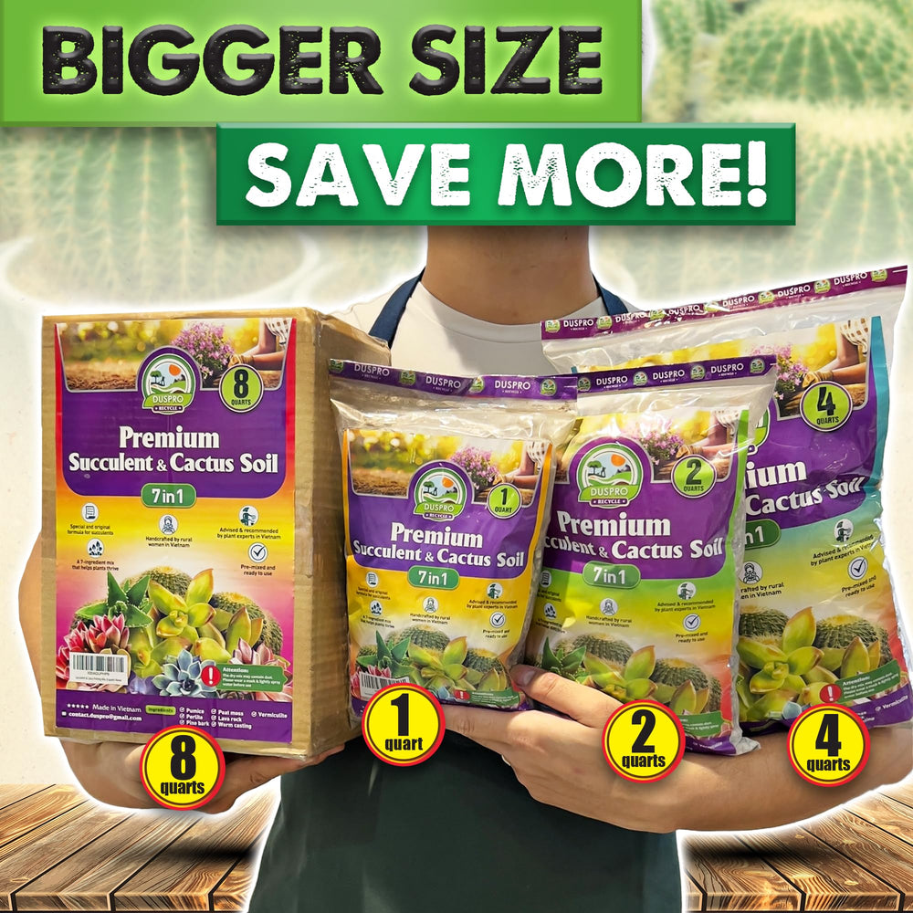 Duspro quality-checked gardening soil ensuring consistent performance for succulents.