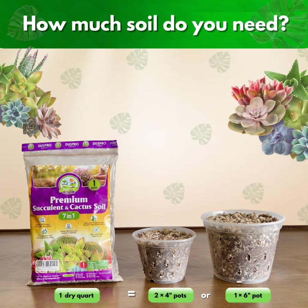 Duspro succulent potting mix in sizes from 1qt to 2qt for pots.