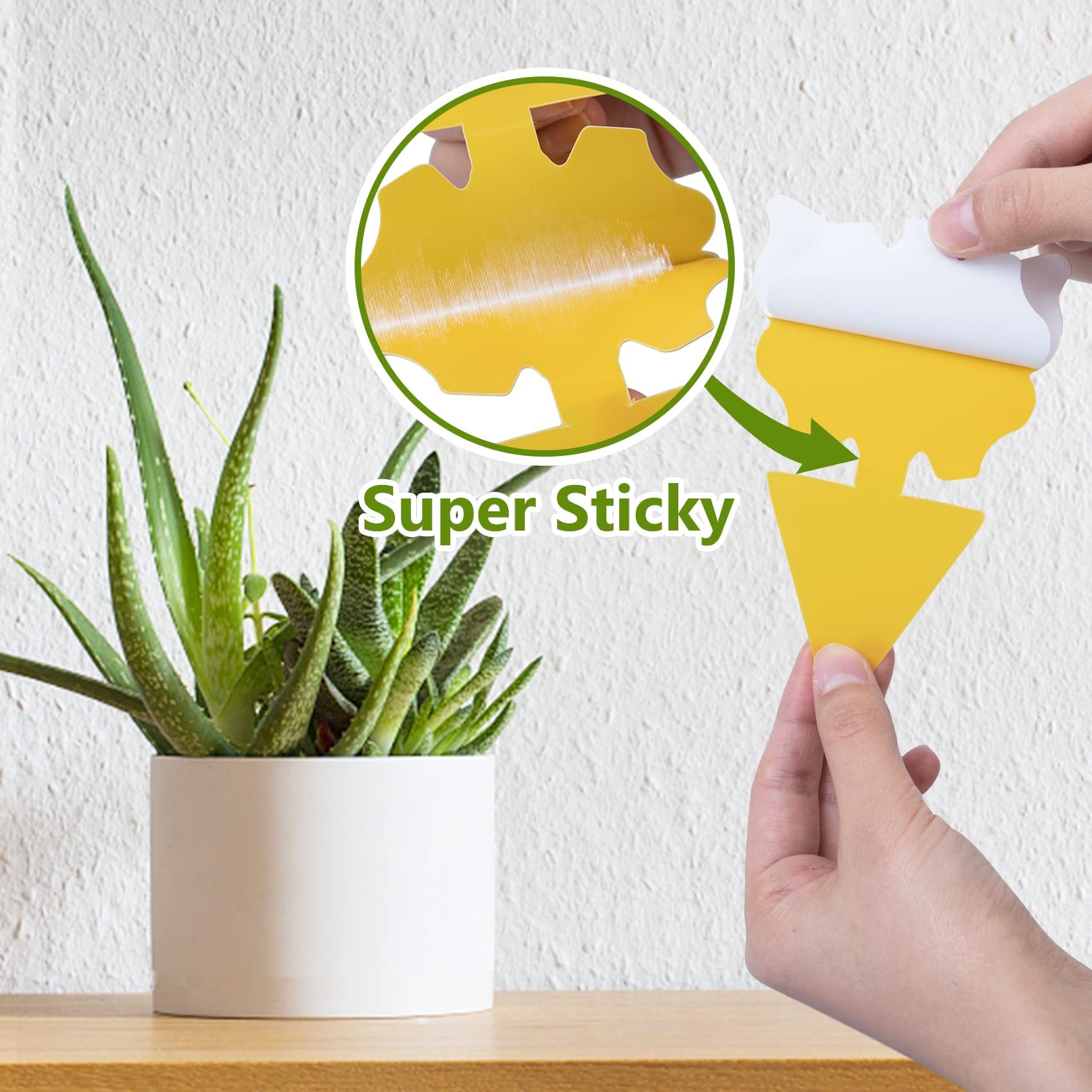 Dwcom Trap sticky traps feature strong adhesive for lasting pest capture in damp spaces